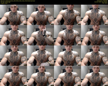 thebestmuscles