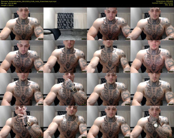 thebestmuscles