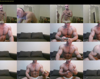 andry_dick
