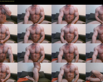 andry_dick