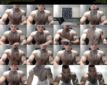 thebestmuscles