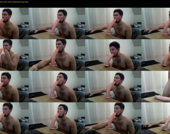happycock_9inch