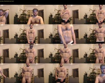 hot_forsti
