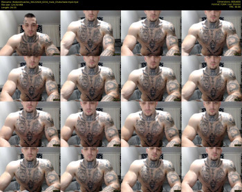 thebestmuscles
