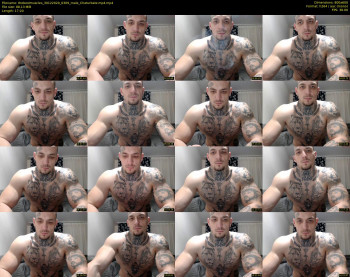 thebestmuscles