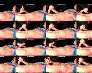 abdominator4cb