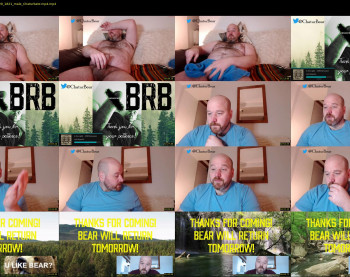 bear_necessity_