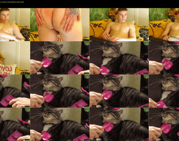 curtis_roy
