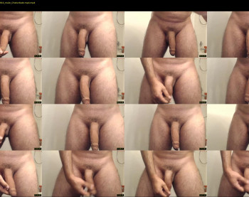 divercelli87
