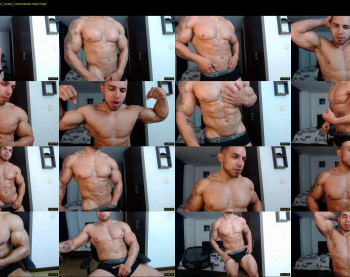 mason_fit