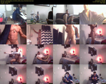 sharkdickwilly