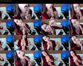 alicia_cat