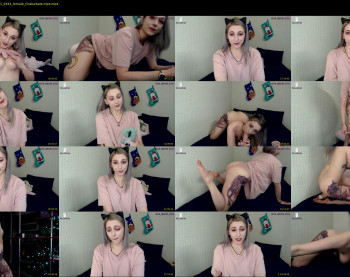 eva_meow_eva