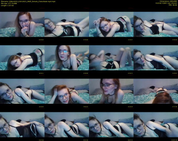 kitten4222