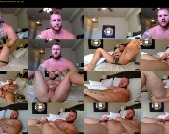 cub_guns95