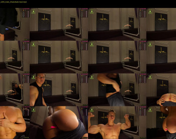 steevemuscle