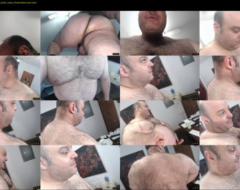 bullmusclejoe