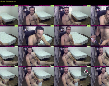 osito_blanco