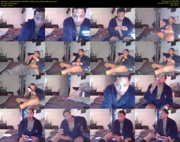 sharkdickwilly