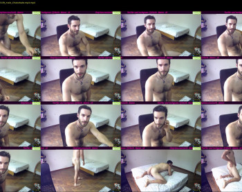 osito_blanco