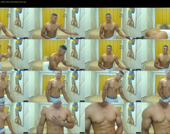 teddy_fit19cm