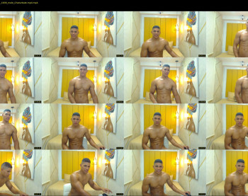 teddy_fit19cm