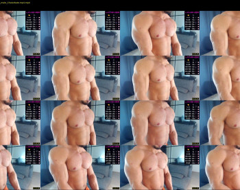 flex_x_x