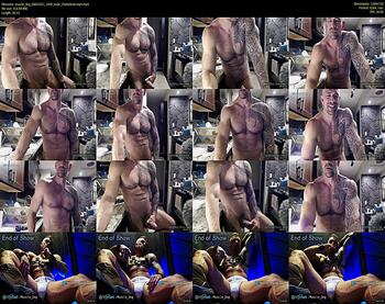 muscle_dog