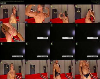 steevemuscle