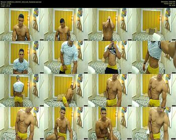 teddyfit19cm