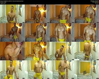 teddyfit19cm