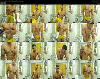 teddyfit19cm