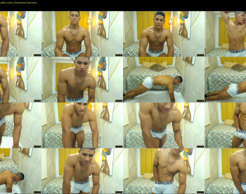 teddyfit19cm