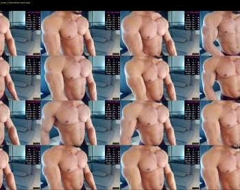 flex_x_x