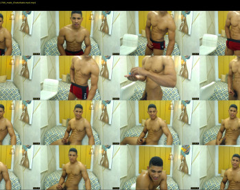 teddyfit19cm