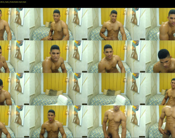 teddyfit19cm