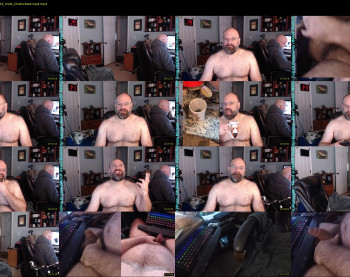intellibear