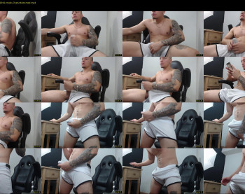 rocco_viloria