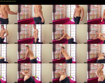 steevemuscle