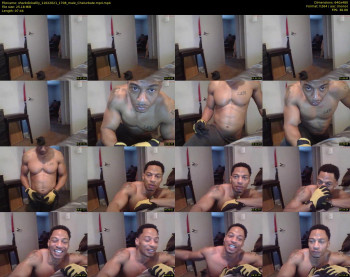 sharkdickwilly