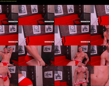 steevemuscle