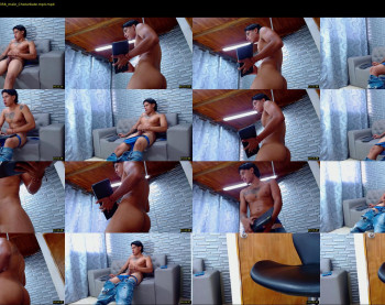 enzoferlucy