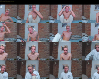 martinmilk7