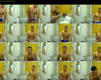 teddyfit19cm