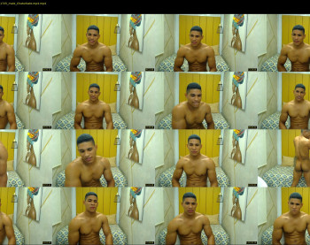 teddyfit19cm