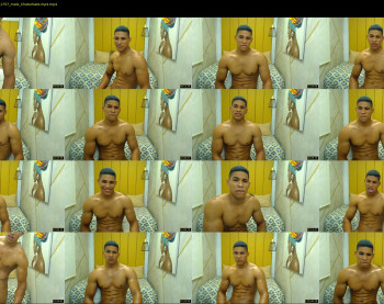 teddyfit19cm