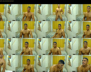 teddyfit19cm