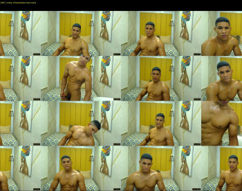 teddyfit19cm