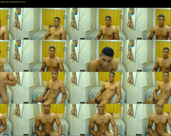 teddyfit19cm