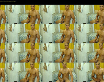 teddyfit19cm